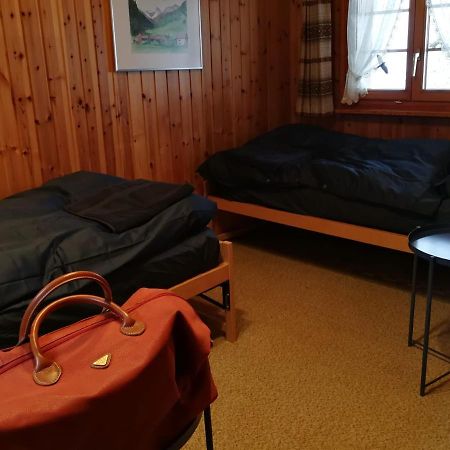 Casa Steilalva - Grosszuegiges Chalet Fuer Erholsamen Familienurlaub Surrein Exteriör bild