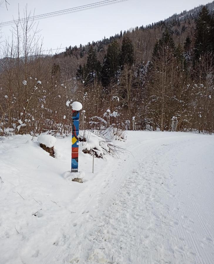 Casa Steilalva - Grosszuegiges Chalet Fuer Erholsamen Familienurlaub Surrein Exteriör bild