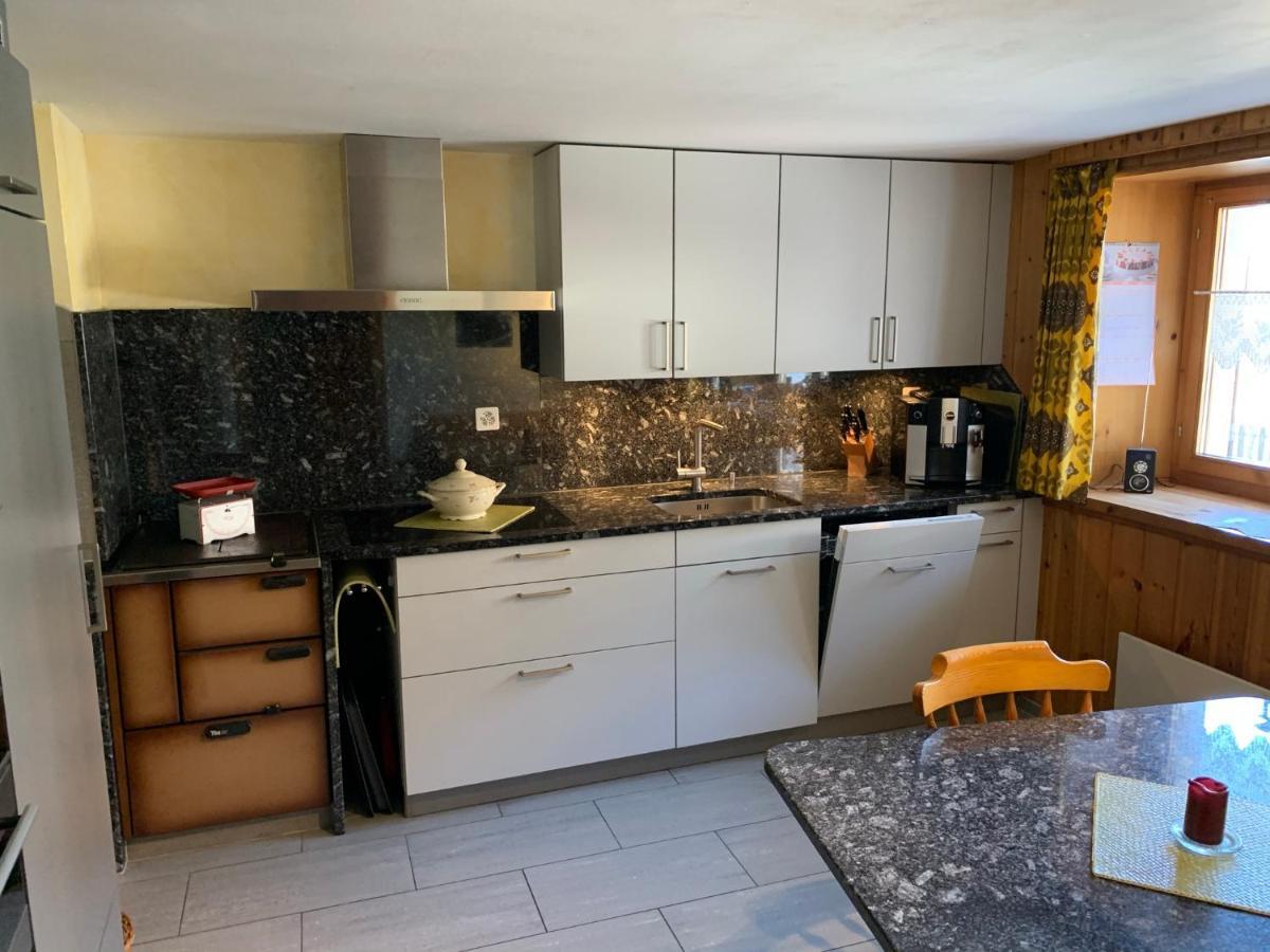 Casa Steilalva - Grosszuegiges Chalet Fuer Erholsamen Familienurlaub Surrein Exteriör bild